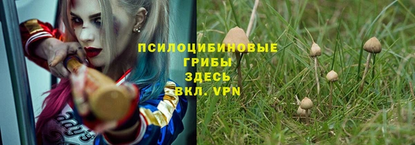 ALPHA PVP Новозыбков